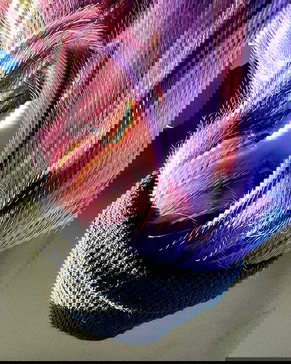 toriawashere image ~ Altpins