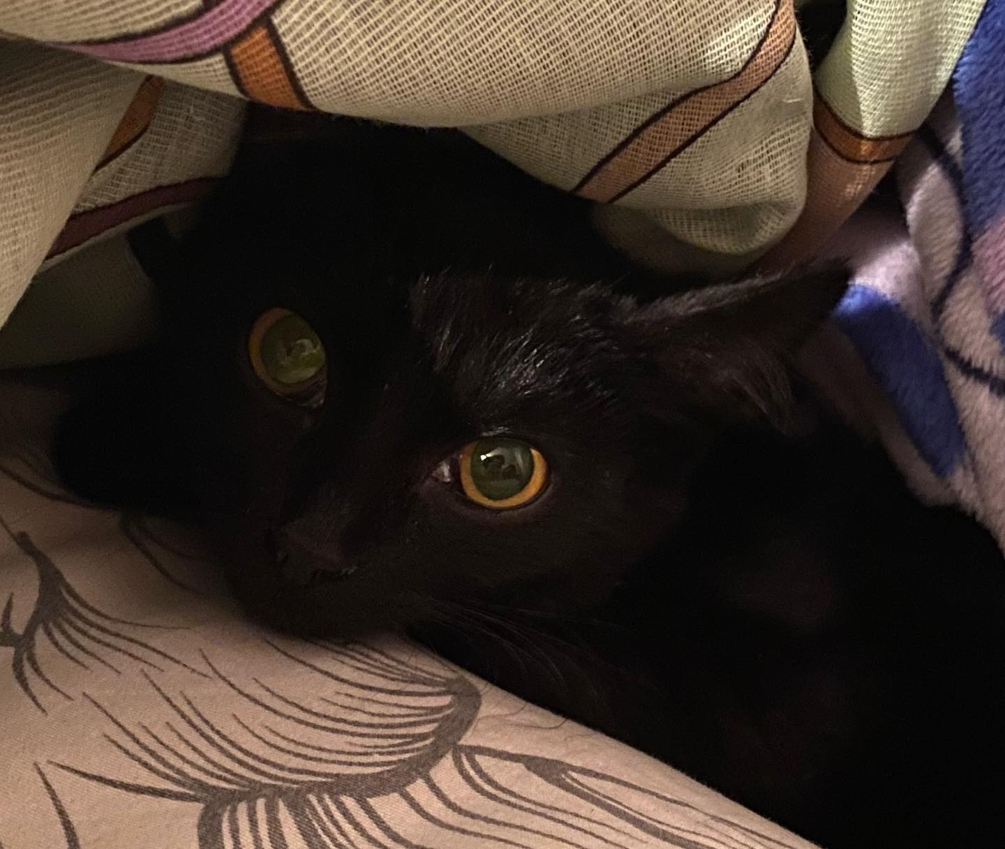 toriawashere instagram image archive image