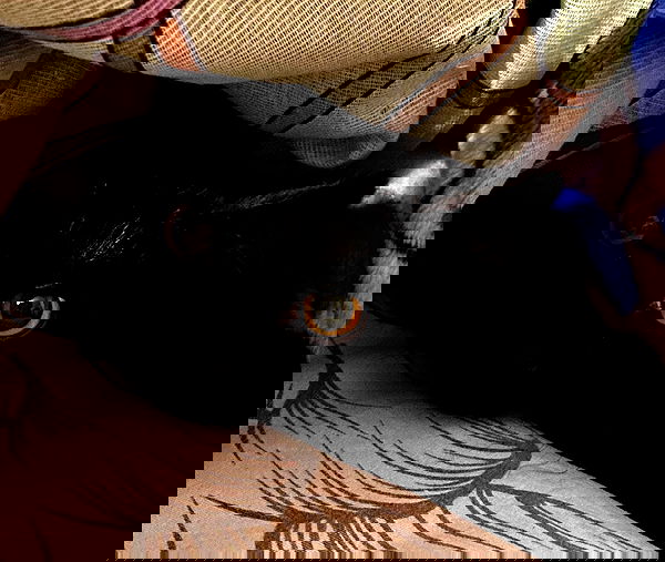 toriawashere image ~ Altpins