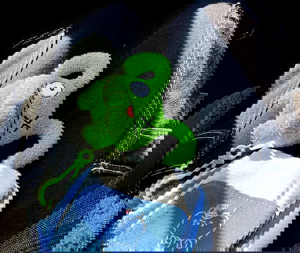 toriawashere image ~ Altpins