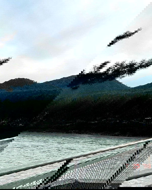 toriawashere image ~ Altpins