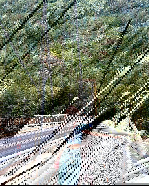 toriawashere image ~ Altpins