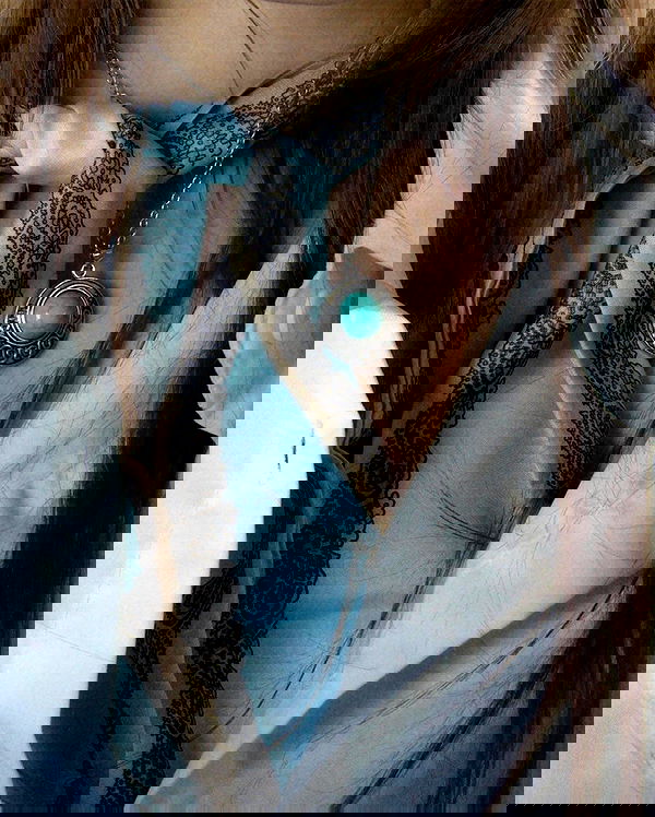 toriawashere image ~ Altpins