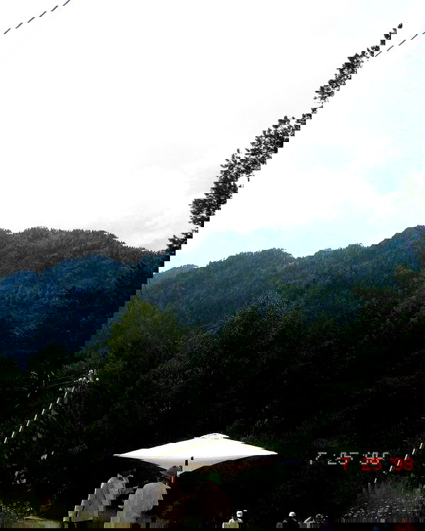 toriawashere image ~ Altpins