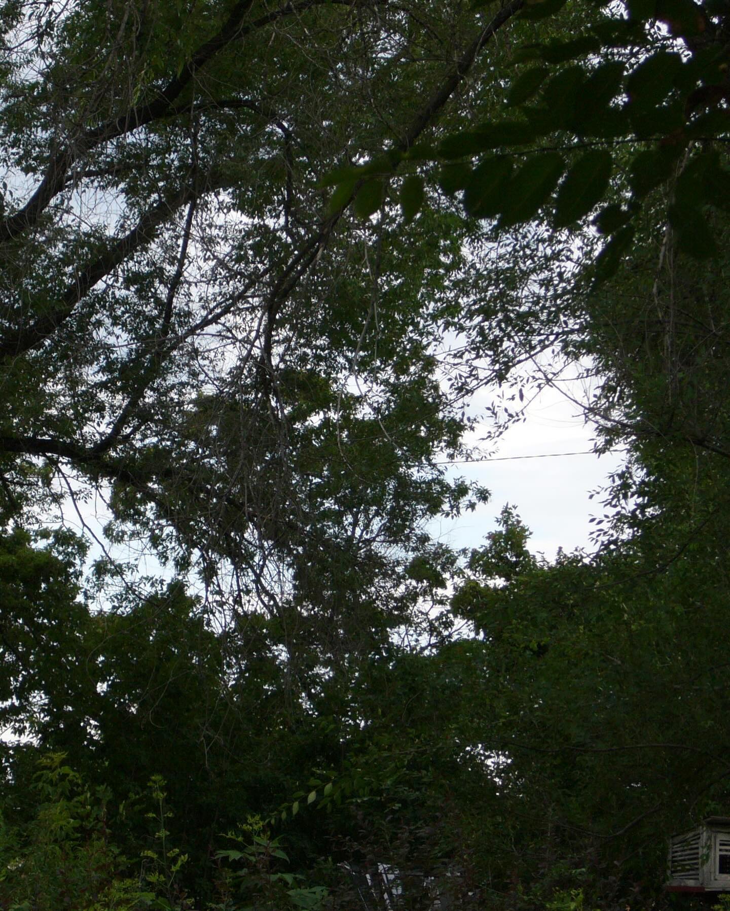 toriawashere instagram image archive image