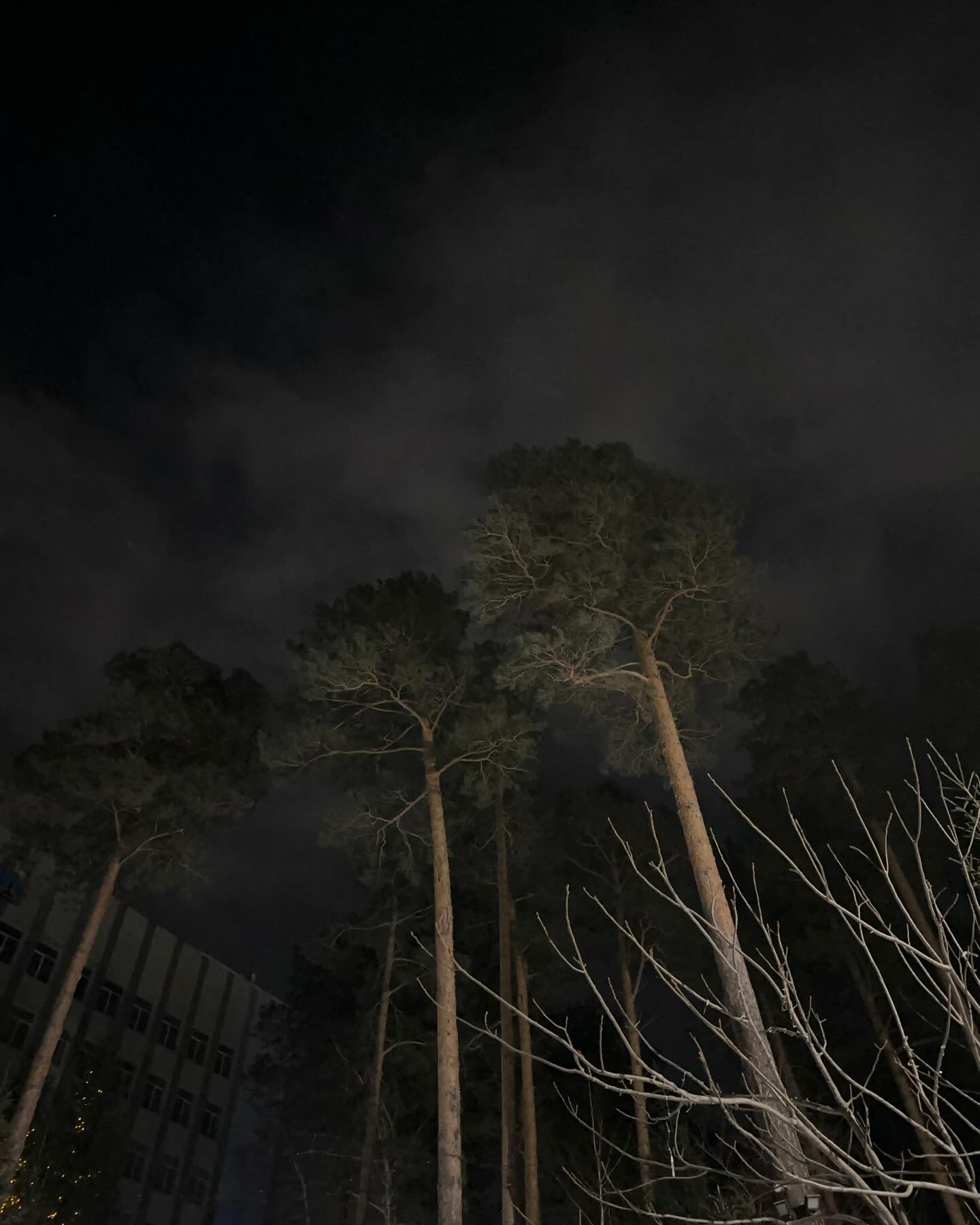 toriawashere instagram image archive image