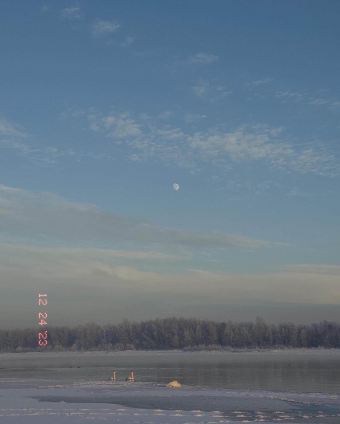 toriawashere instagram image archive image