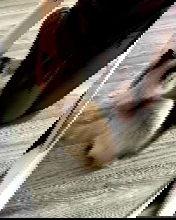 toriawashere image ~ Altpins