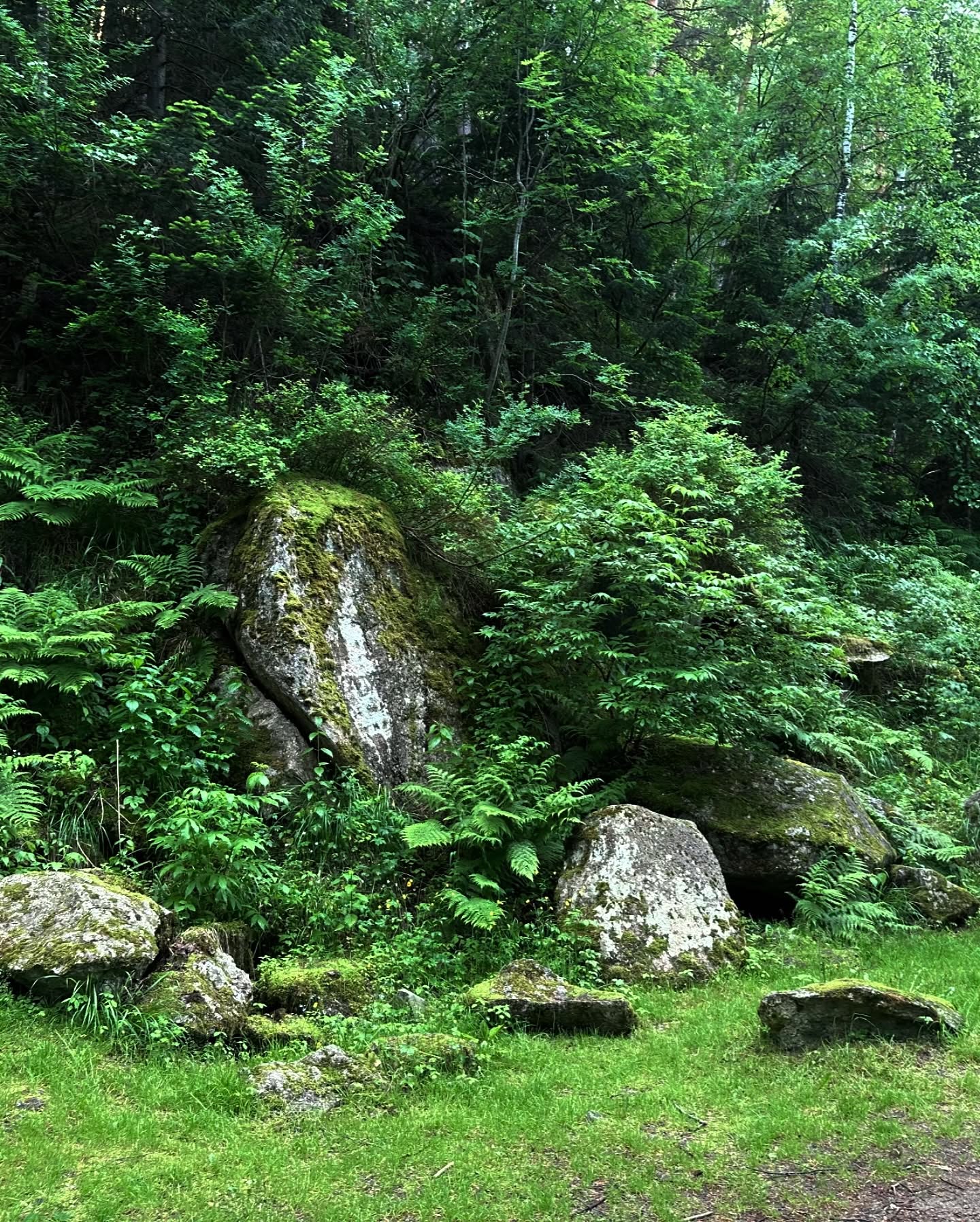 toriawashere instagram image archive image