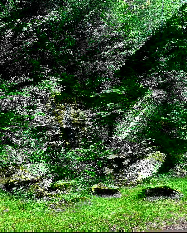 toriawashere image ~ Altpins