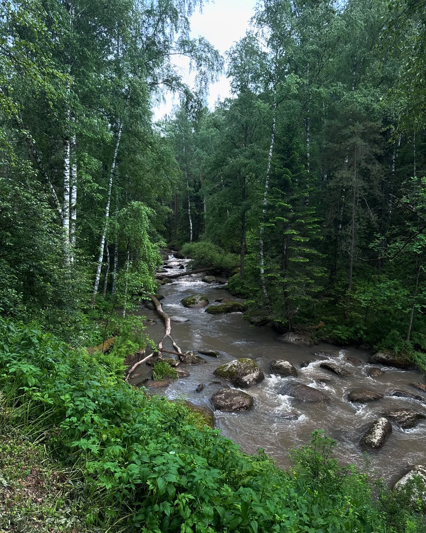 toriawashere instagram image archive image