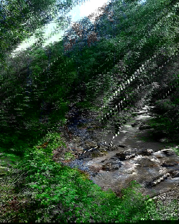 toriawashere image ~ Altpins