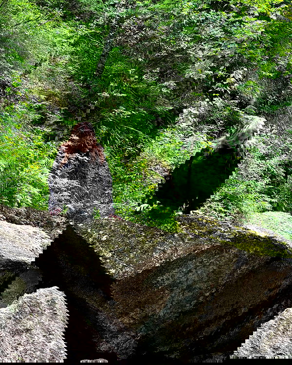 toriawashere image ~ Altpins