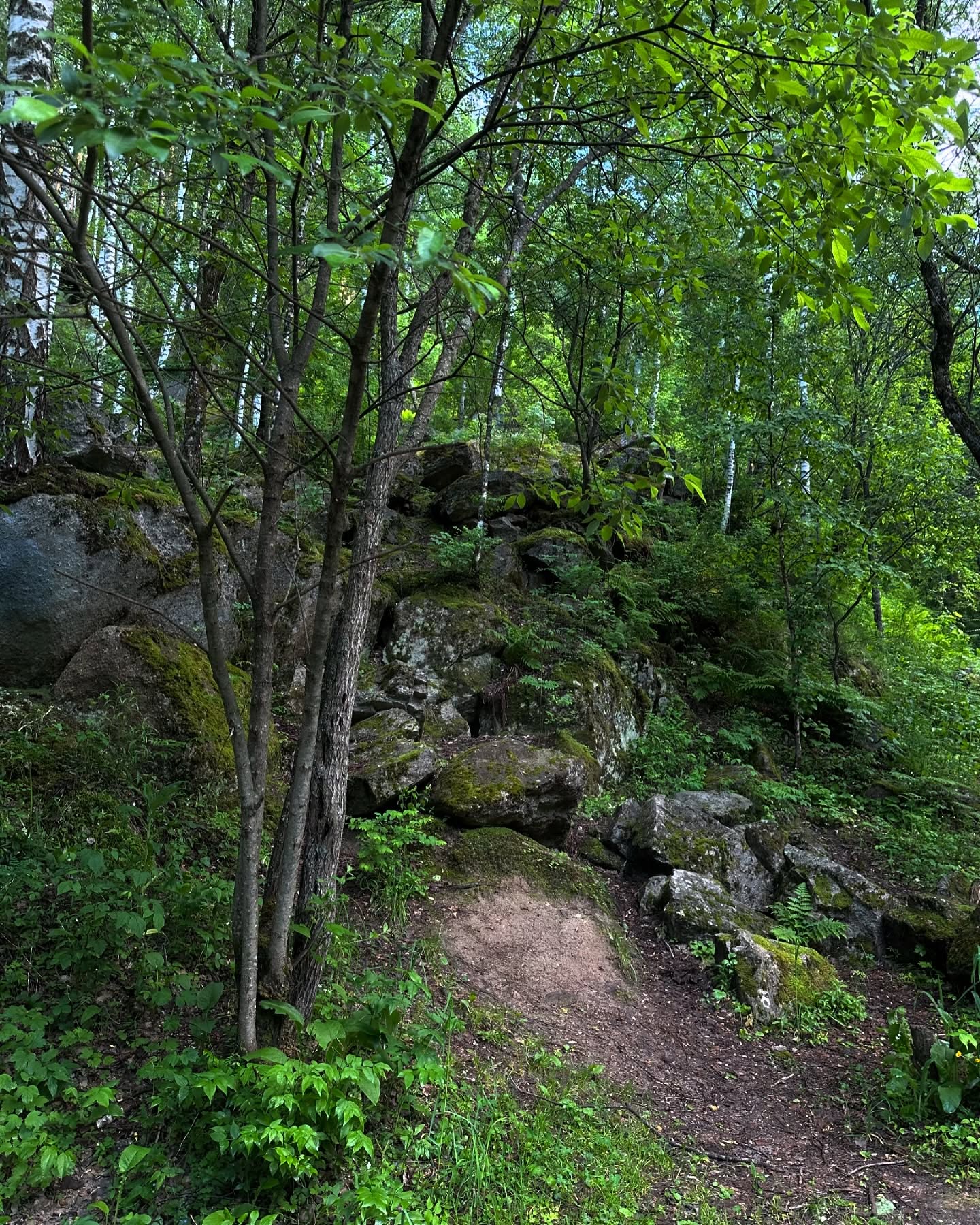 toriawashere instagram image archive image