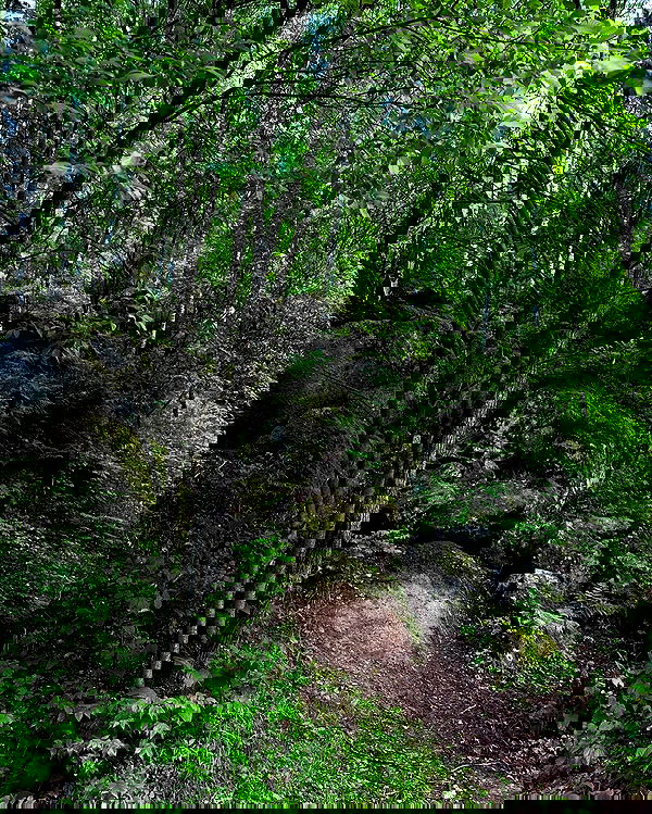 toriawashere image ~ Altpins