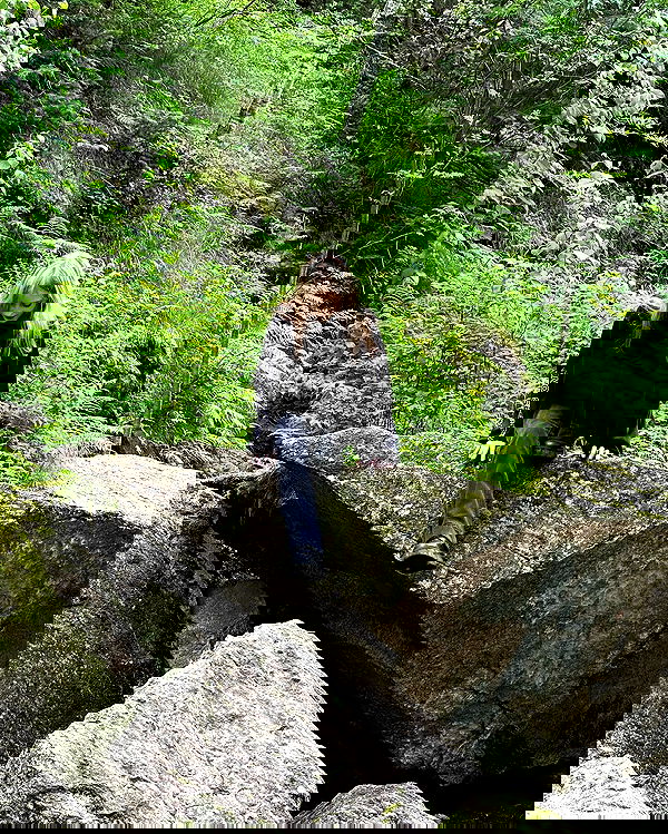 toriawashere image ~ Altpins