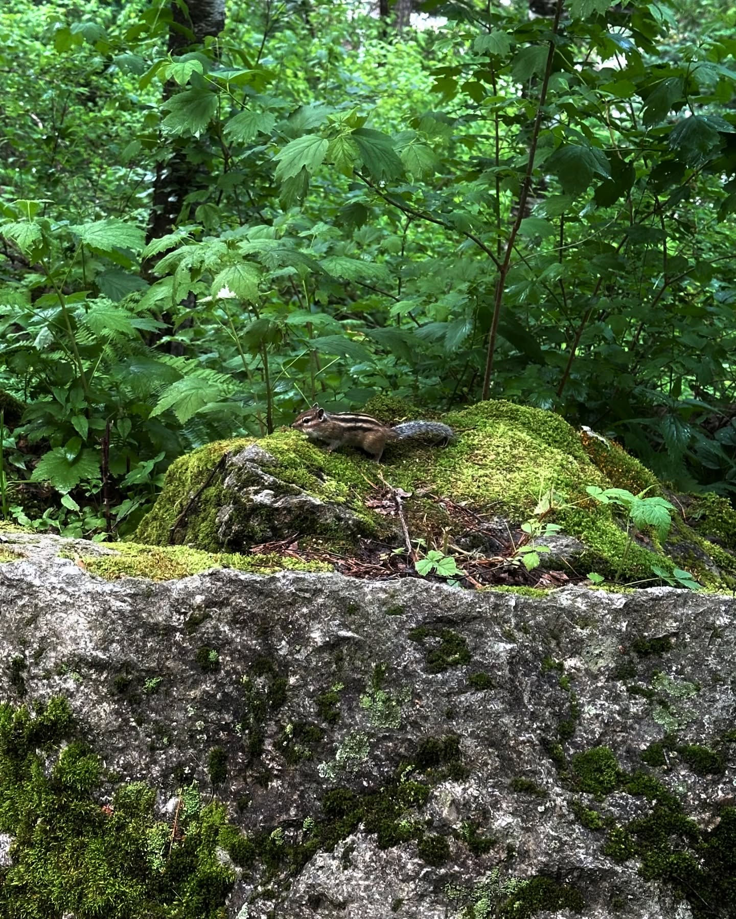 toriawashere instagram image archive image