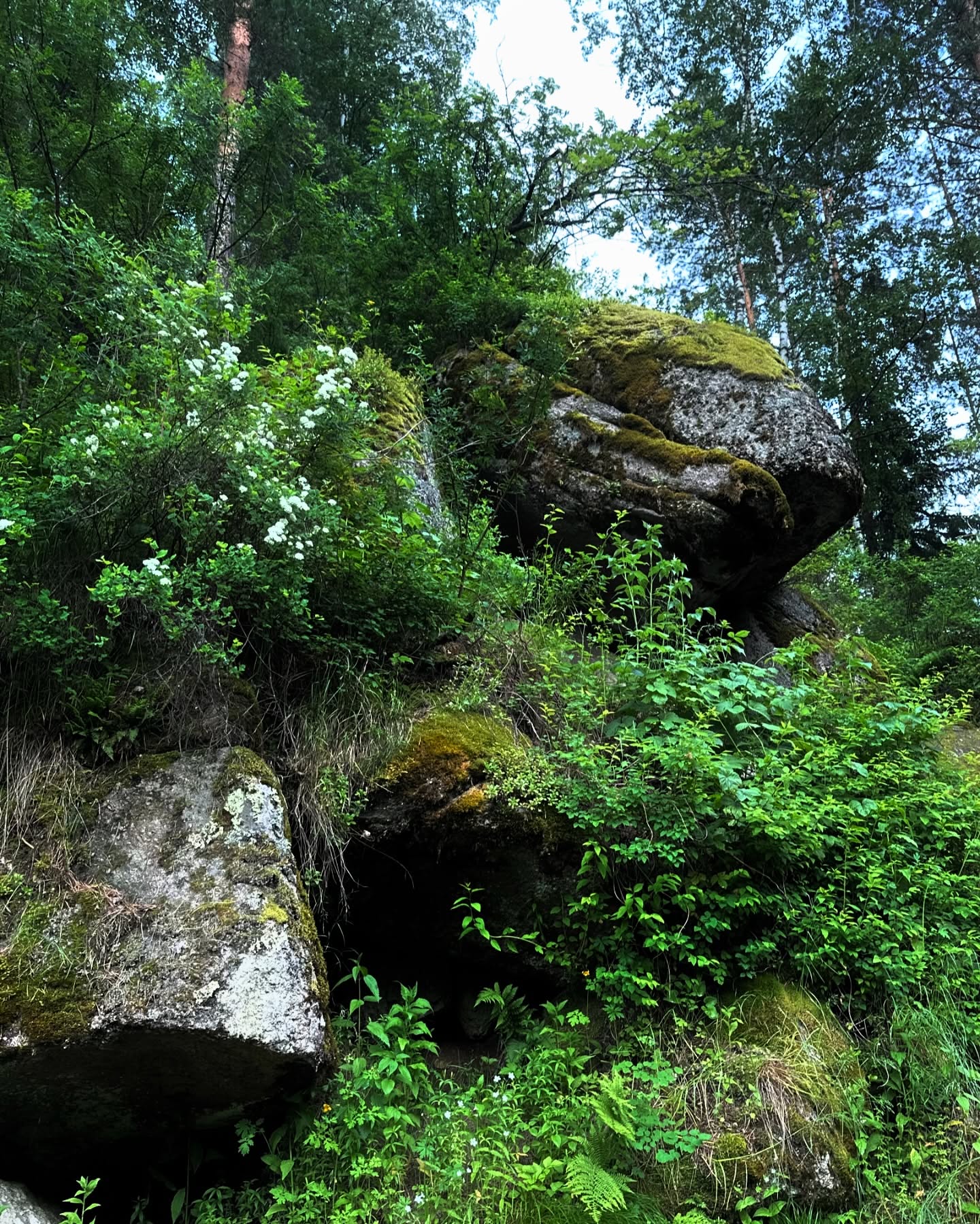 toriawashere instagram image archive image