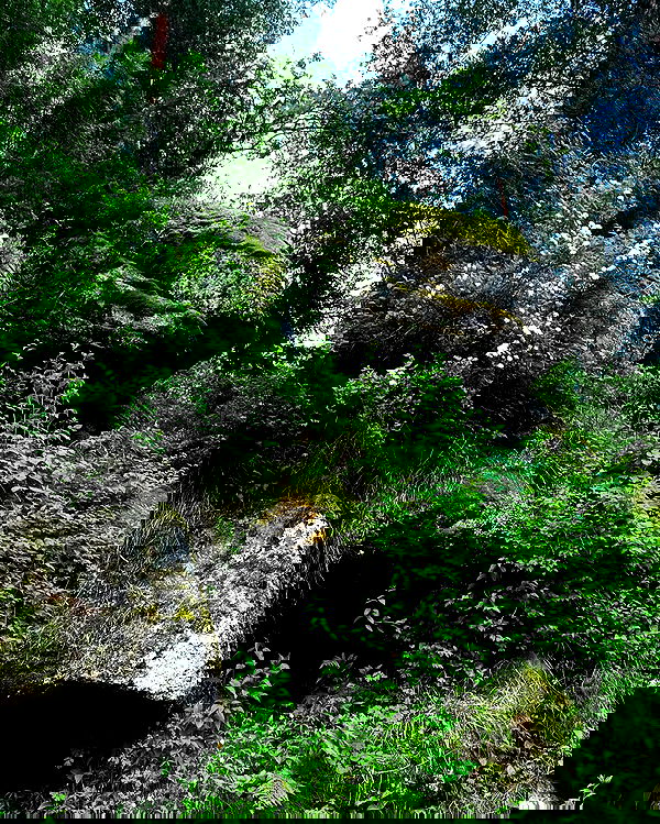 toriawashere image ~ Altpins