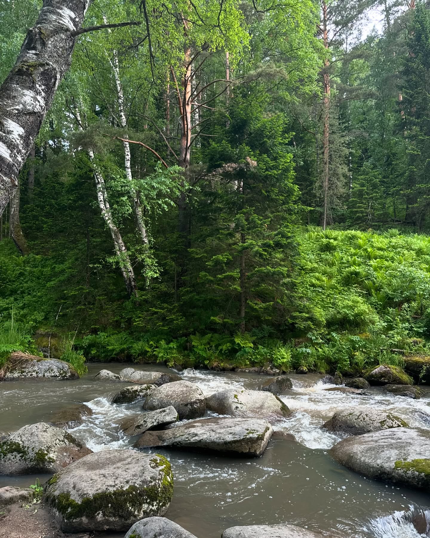 toriawashere instagram image archive image