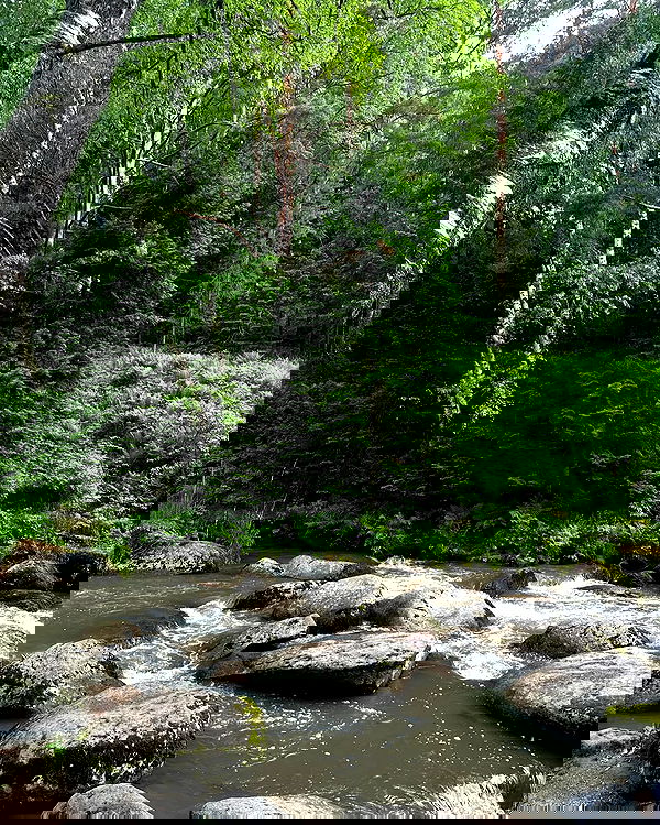 toriawashere image ~ Altpins