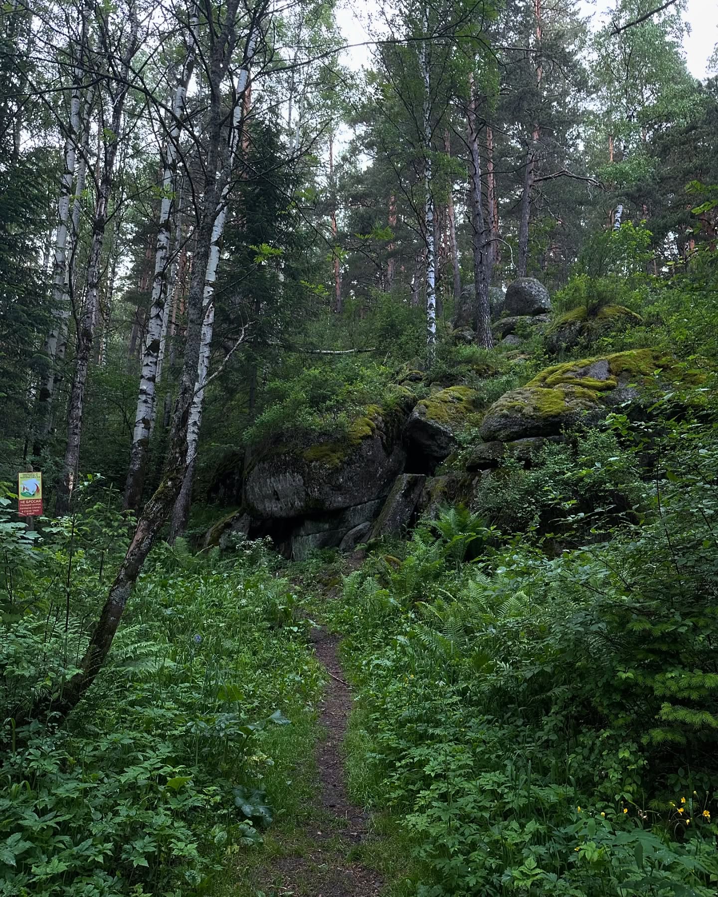 toriawashere instagram image archive image