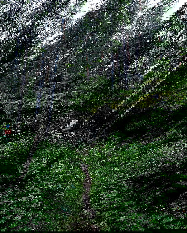 toriawashere image ~ Altpins