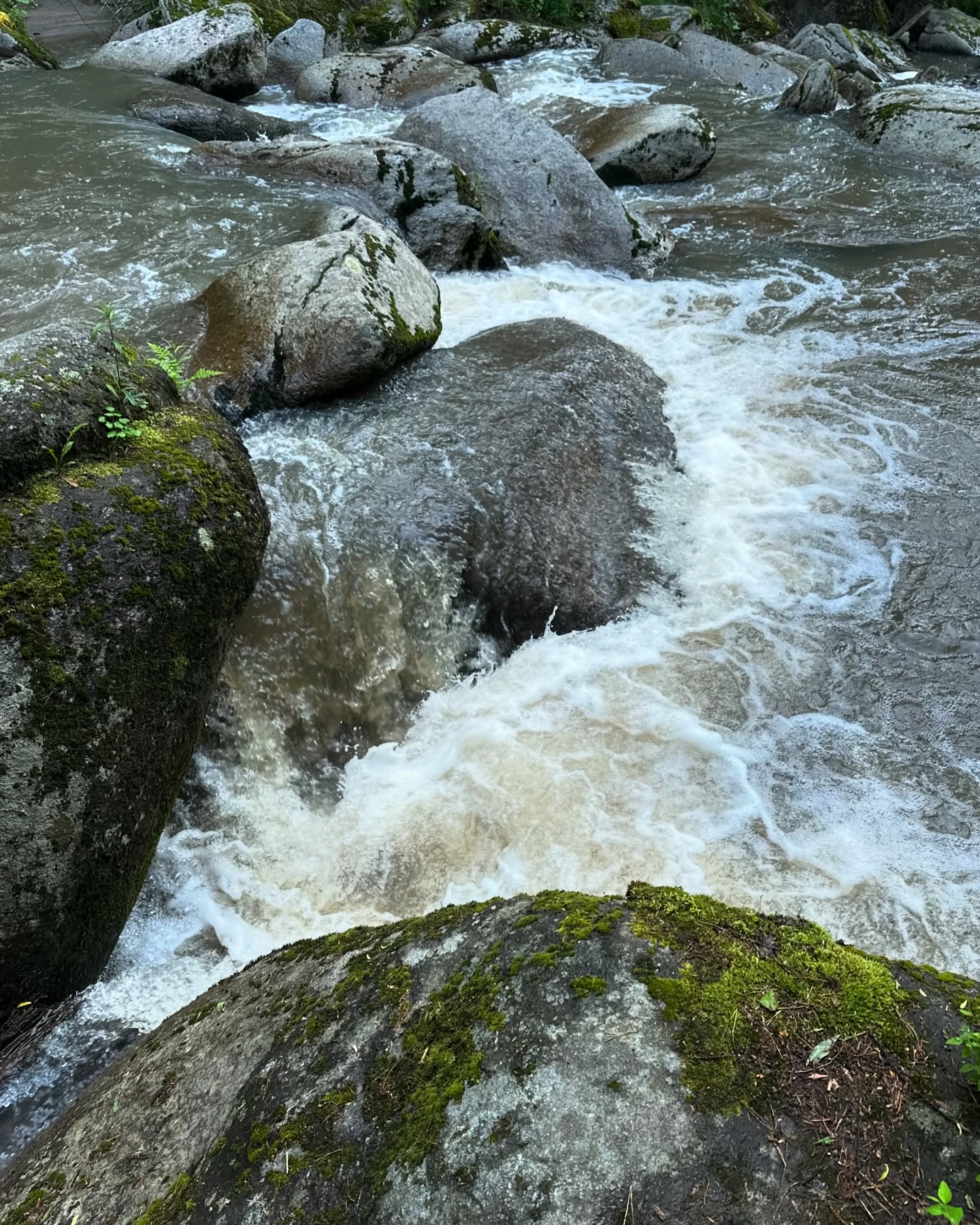 toriawashere instagram image archive image