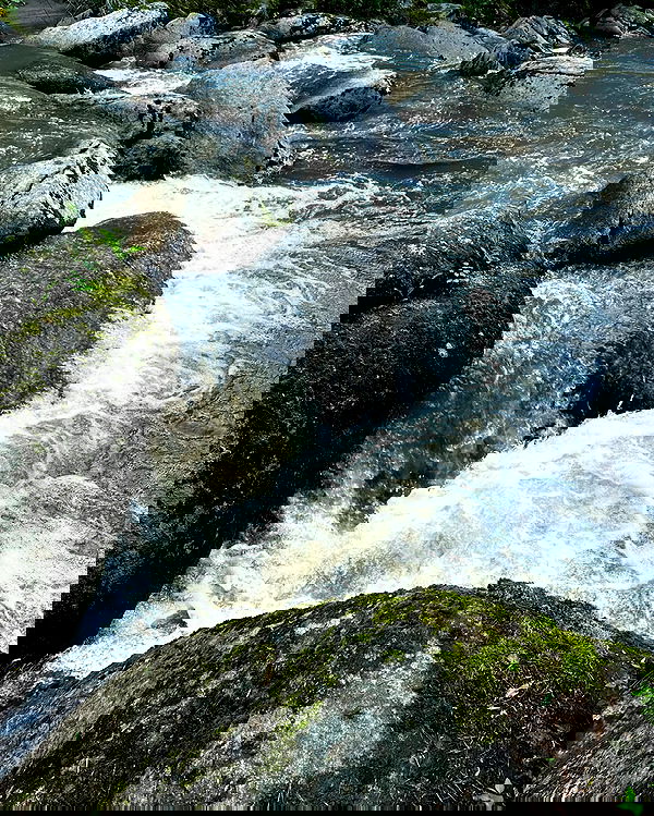 toriawashere image ~ Altpins