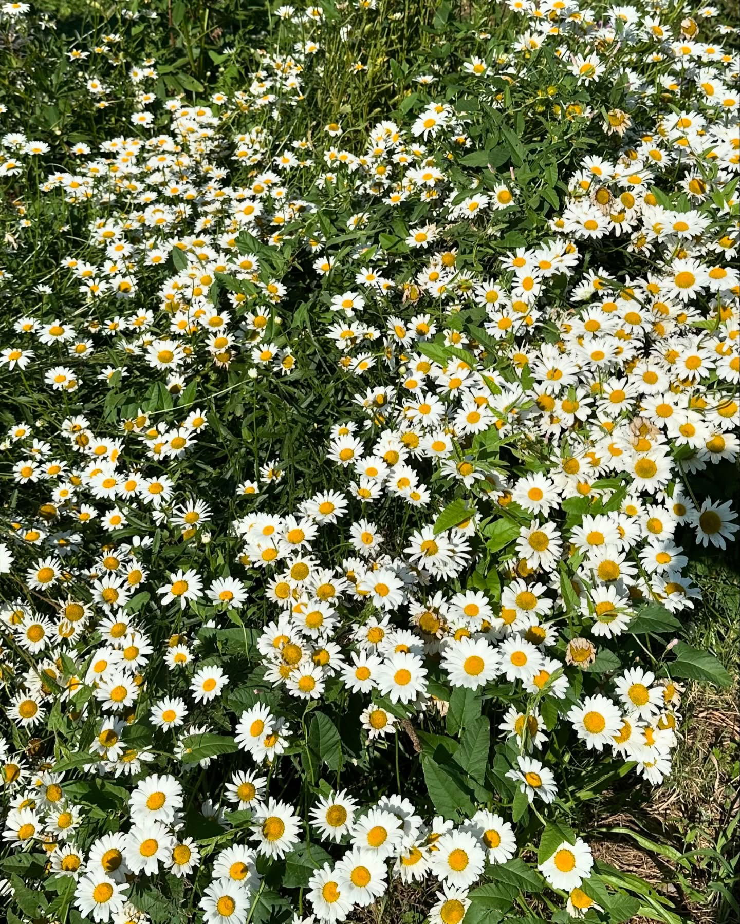 toriawashere instagram image archive image