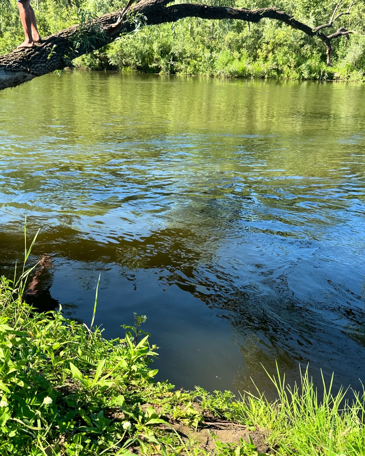 toriawashere instagram image archive image