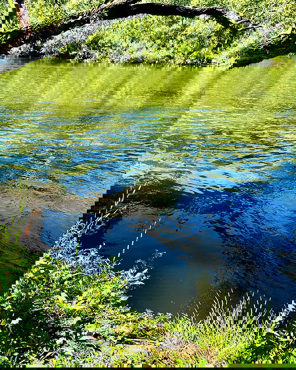 toriawashere image ~ Altpins