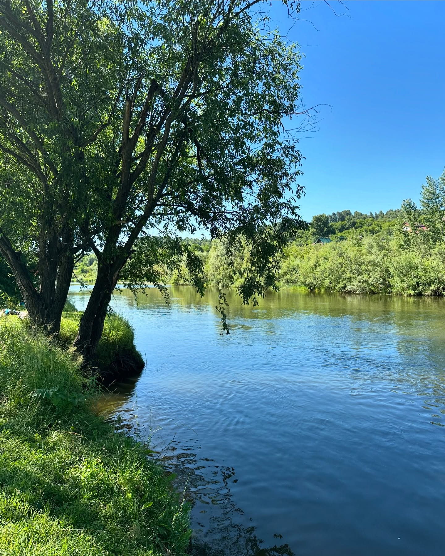 toriawashere instagram image archive image