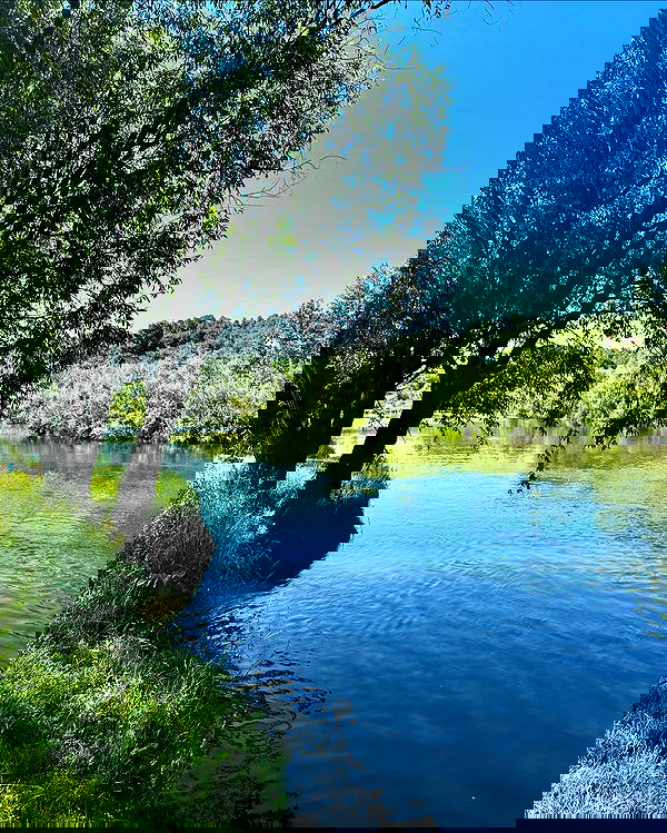 toriawashere image ~ Altpins