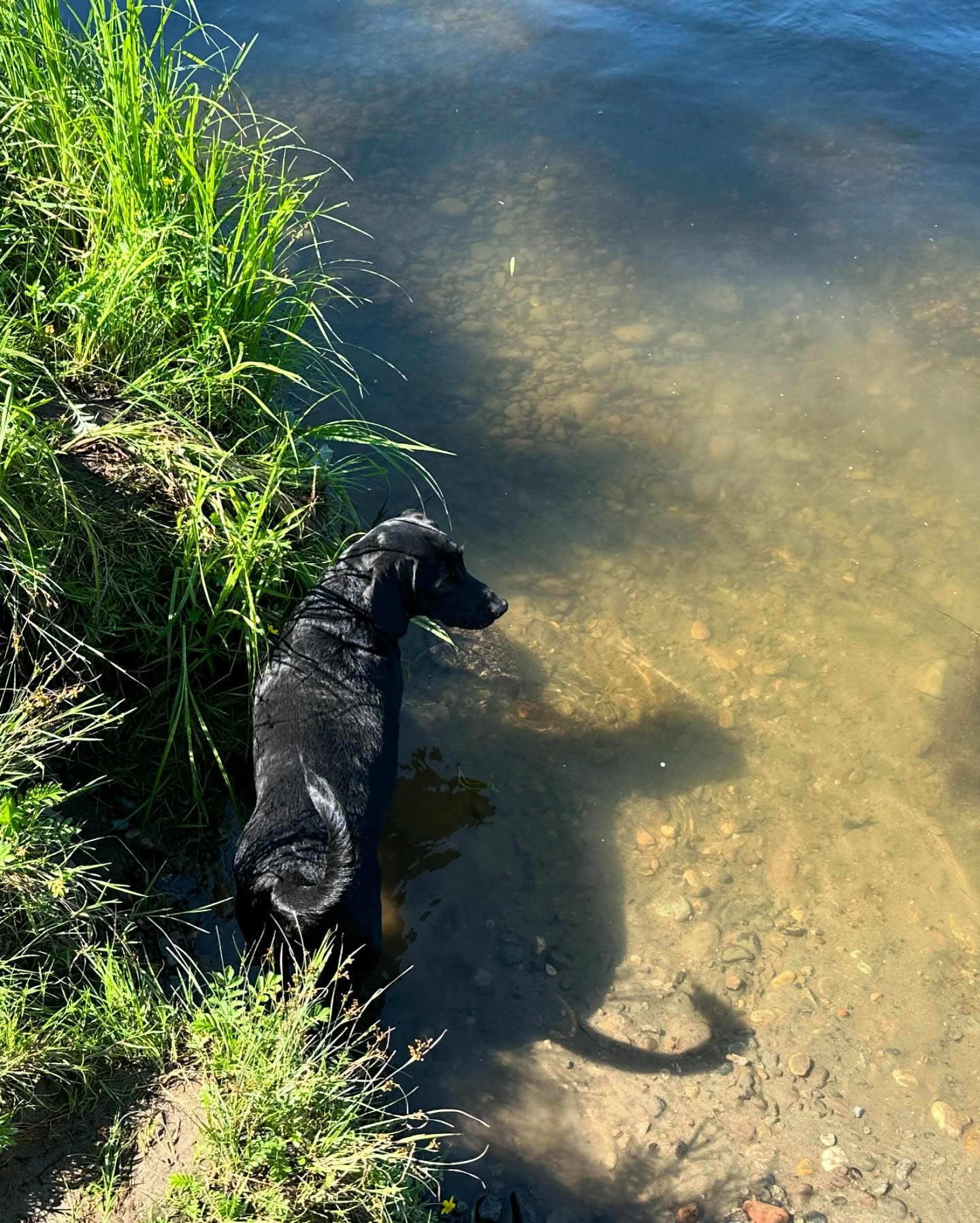 toriawashere instagram image archive image