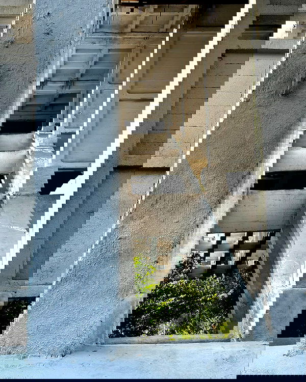 toriawashere image ~ Altpins