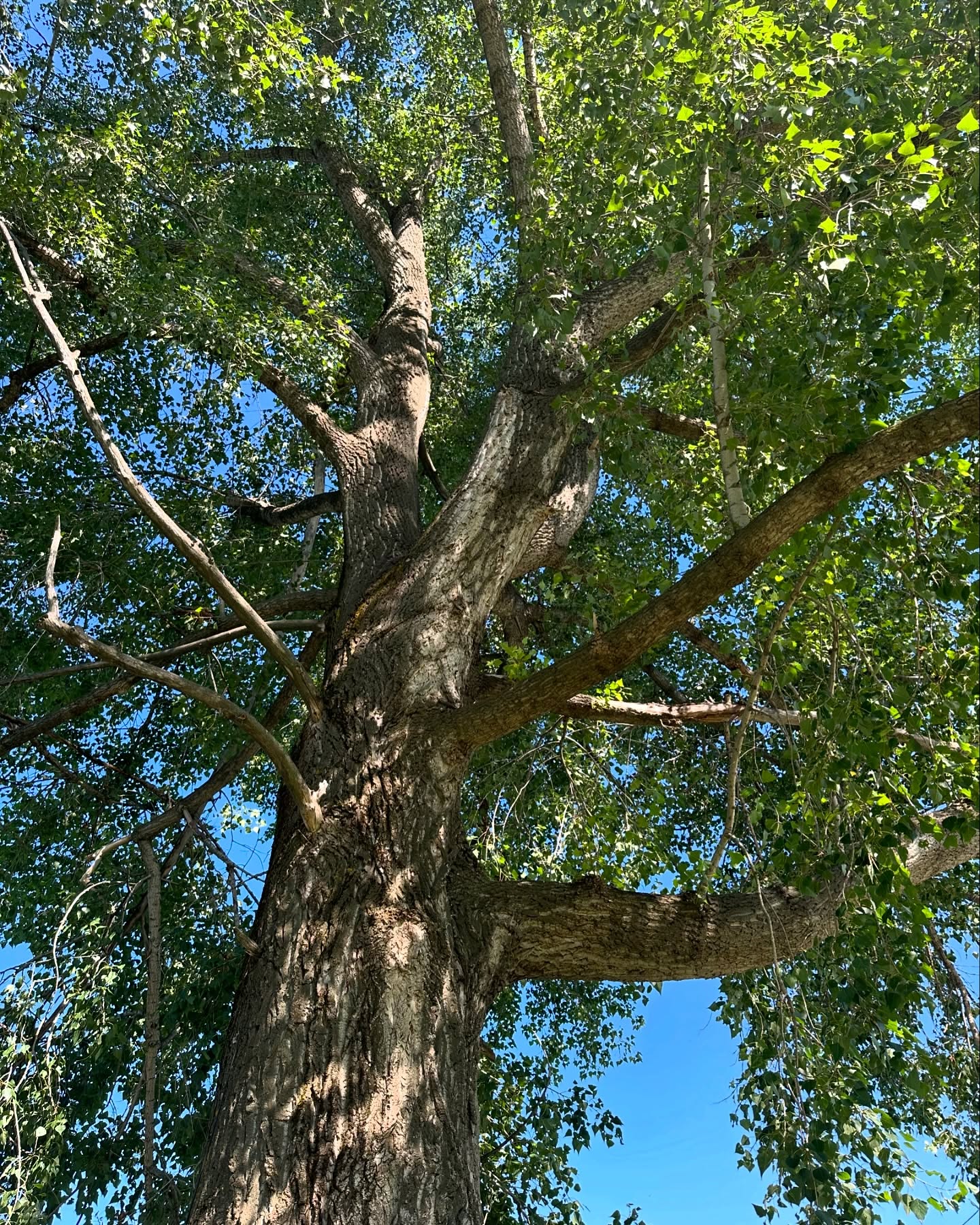 toriawashere instagram image archive image