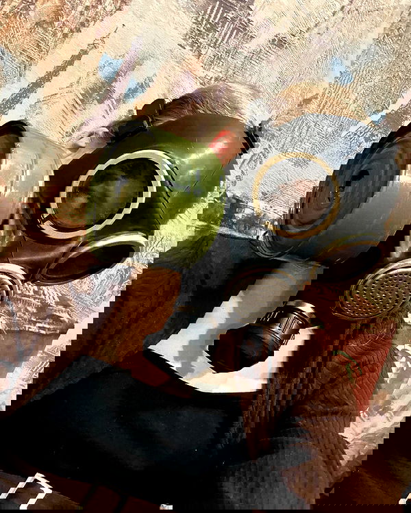 toriawashere image ~ Altpins