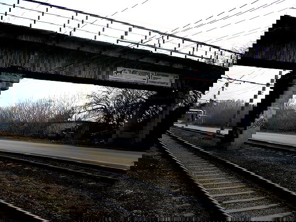 toriawashere image ~ Altpins