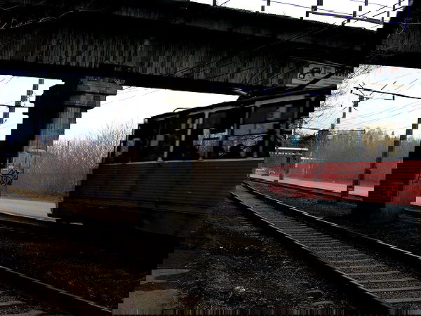 toriawashere image ~ Altpins