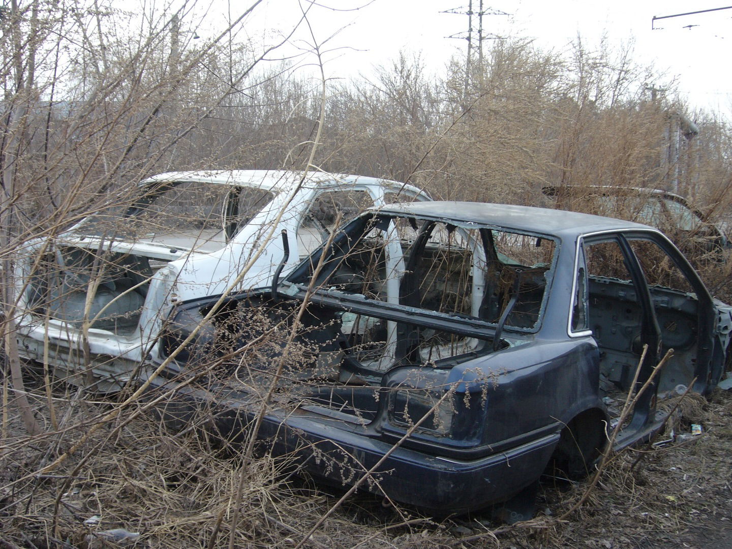 toriawashere instagram image archive image