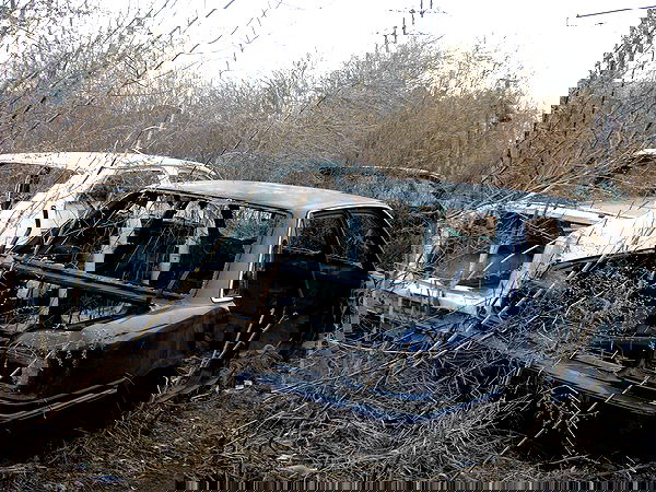 toriawashere image ~ Altpins