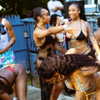 trinadoll.__ Altpins Profile Picture