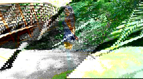 tsukiyanas image ~ Altpins