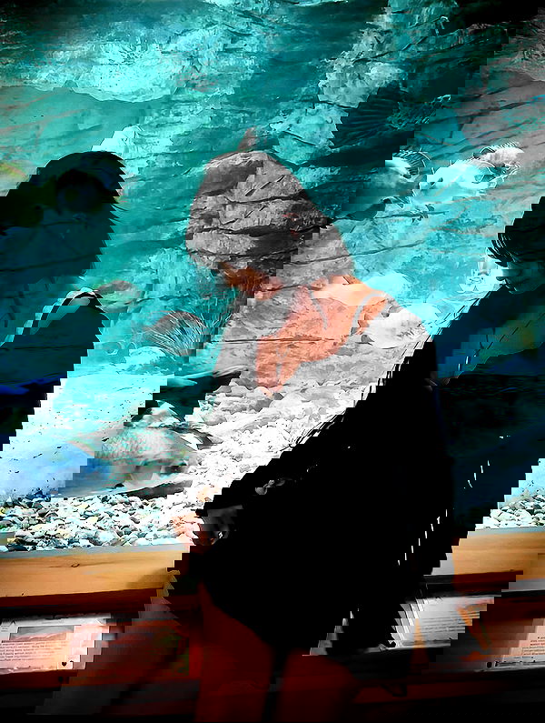 tsukiyanas image ~ Altpins