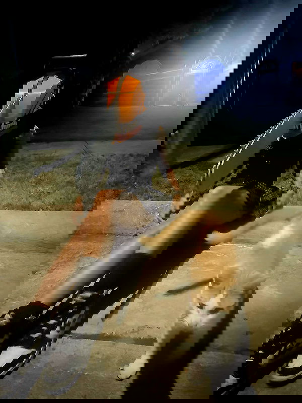 tsukiyanas image ~ Altpins