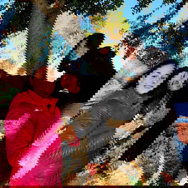 tuliprivet tuliprivet archive image