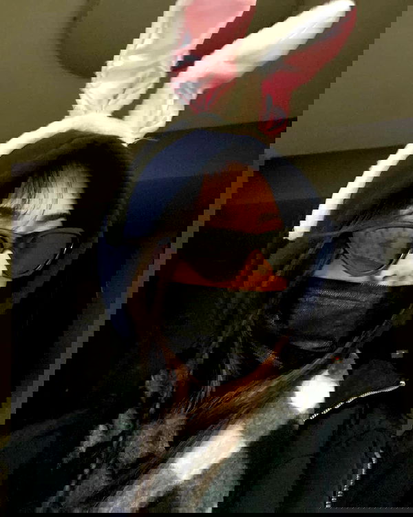 tuliprivet tuliprivet archive image