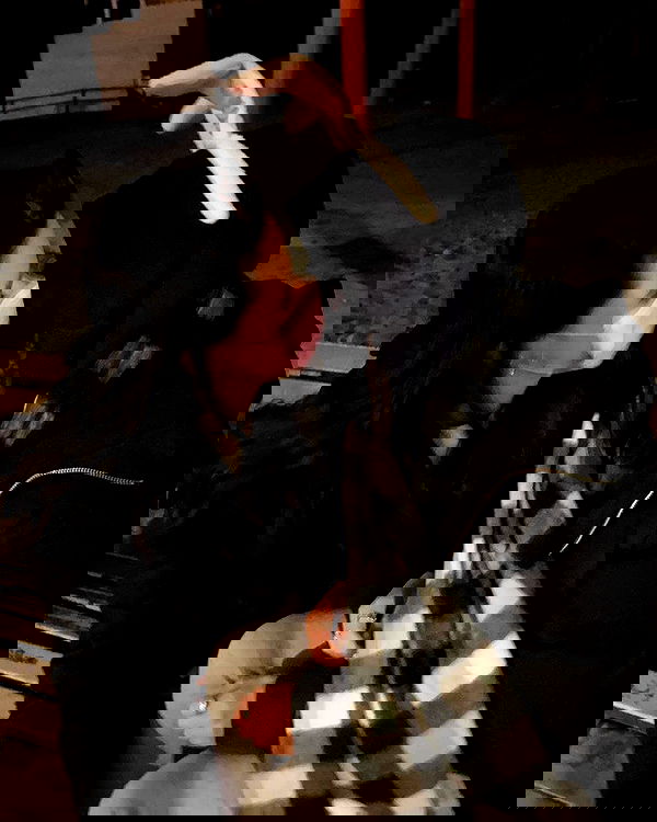 tuliprivet tuliprivet archive image