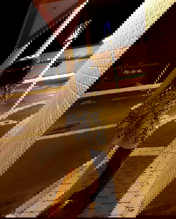 tuliprivet tuliprivet archive image